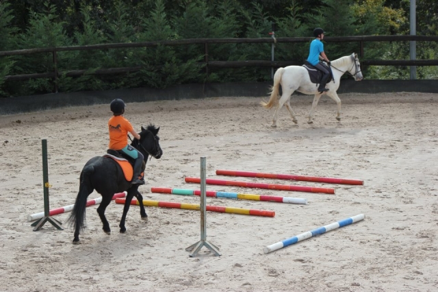 Young man on horse practicing jumping 
